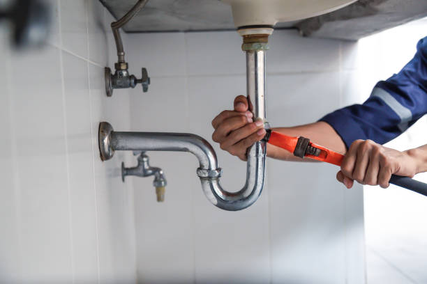 Best Plumbing Inspection Services  in El Jebel, CO